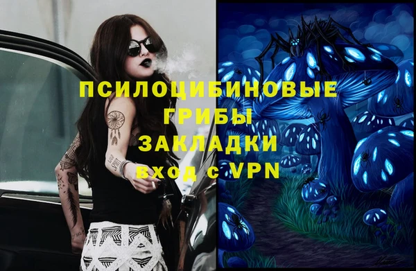 тгк Кукмор